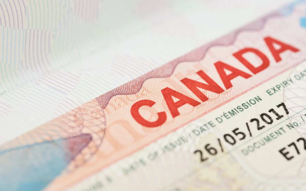 Visa Consultants