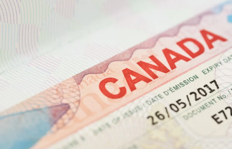 Visa Consultants