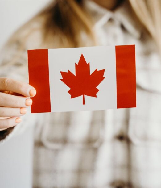 Hand holding a small Canadian flag